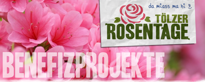Tölzer Rosen und Gartentage - Benefizprojekte